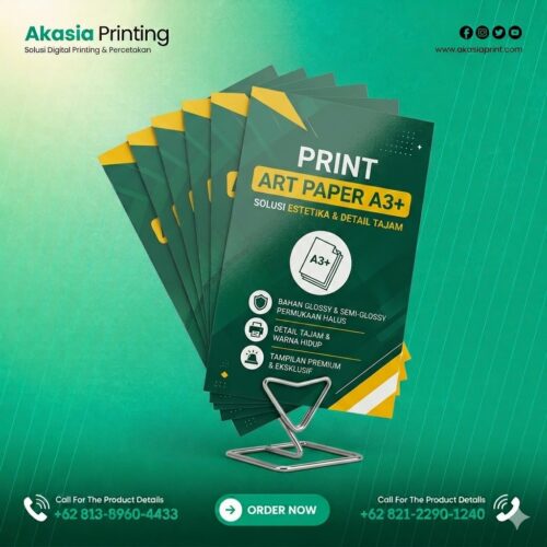 Print Art Paper A3+